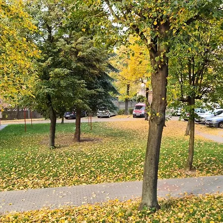 Apartment Spokojny Wypoczynek 4 Ostrow Wielkopolski